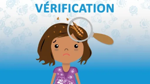 Vérification
