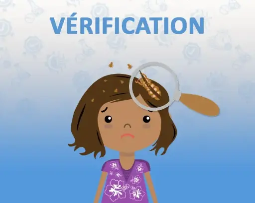 Vérification